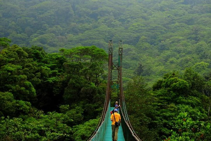 Monteverde Cloud Forest Hanging Bridges - Photo 1 of 13